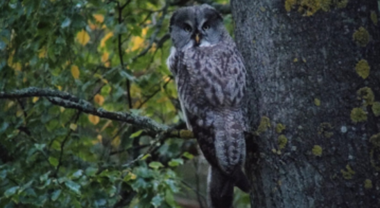 6 mois d'aventures pour traverser par voie terrestre le Paléarctique oriental, de l'Atlantique au Pacifique
